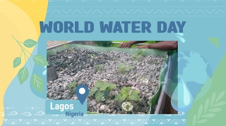 World Water day