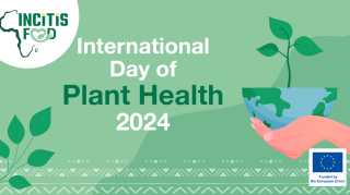 A main visual illustrating our blog post about Plant health