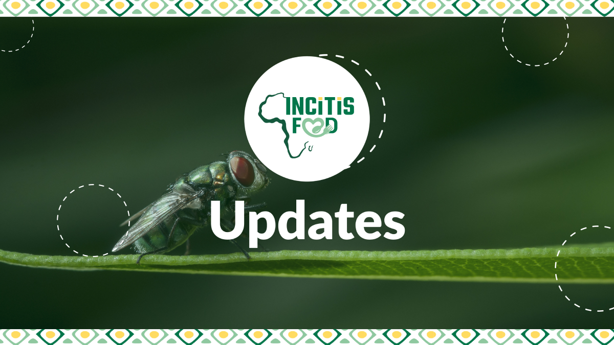 Main visual for the blog post about the INCiTiS-FOOD Updates.