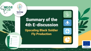 Upscaling Black Soldier Fly Production: Insights from the 4th INCiTiS-FOOD E-Discussion