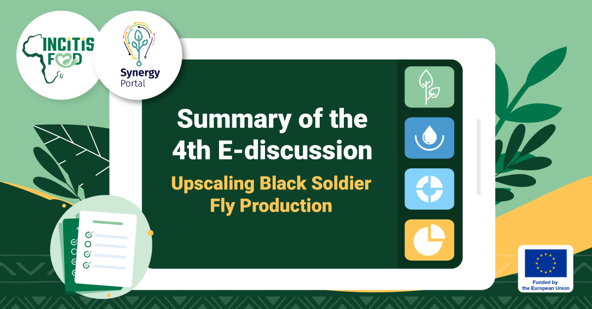 Upscaling Black Soldier Fly Production: Insights from the 4th INCiTiS-FOOD E-Discussion
