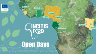 Open Days: Inspiring Local Innovation