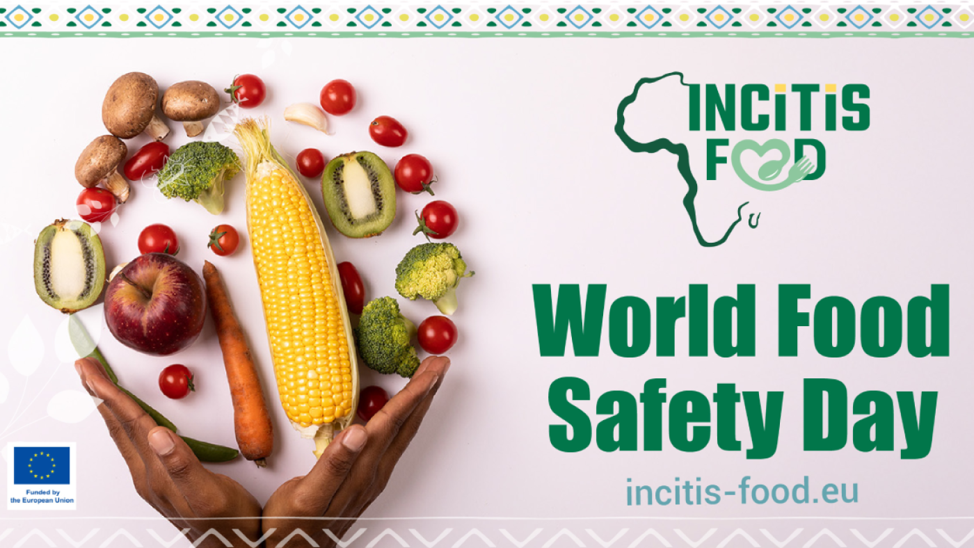 Celebrating World Food Safety Day with INCiTiS-FOOD