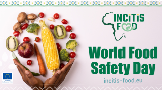 Celebrating World Food Safety Day with INCiTiS-FOOD
