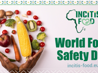 Celebrating World Food Safety Day with INCiTiS-FOOD