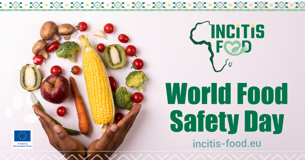 Celebrating World Food Safety Day with INCiTiS-FOOD