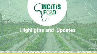 From Collaboration to Impact: Recent Highlights from INCiTiS-FOOD