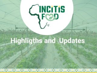 From Collaboration to Impact: Recent Highlights from INCiTiS-FOOD