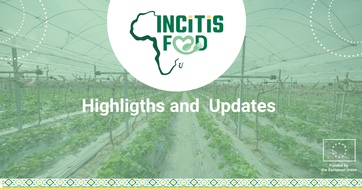 From Collaboration to Impact: Recent Highlights from INCiTiS-FOOD